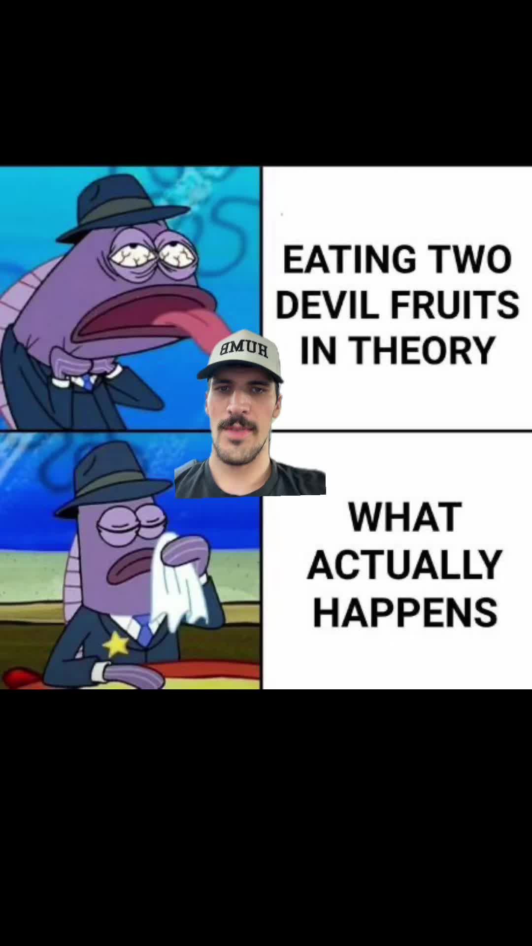 @ripingtons