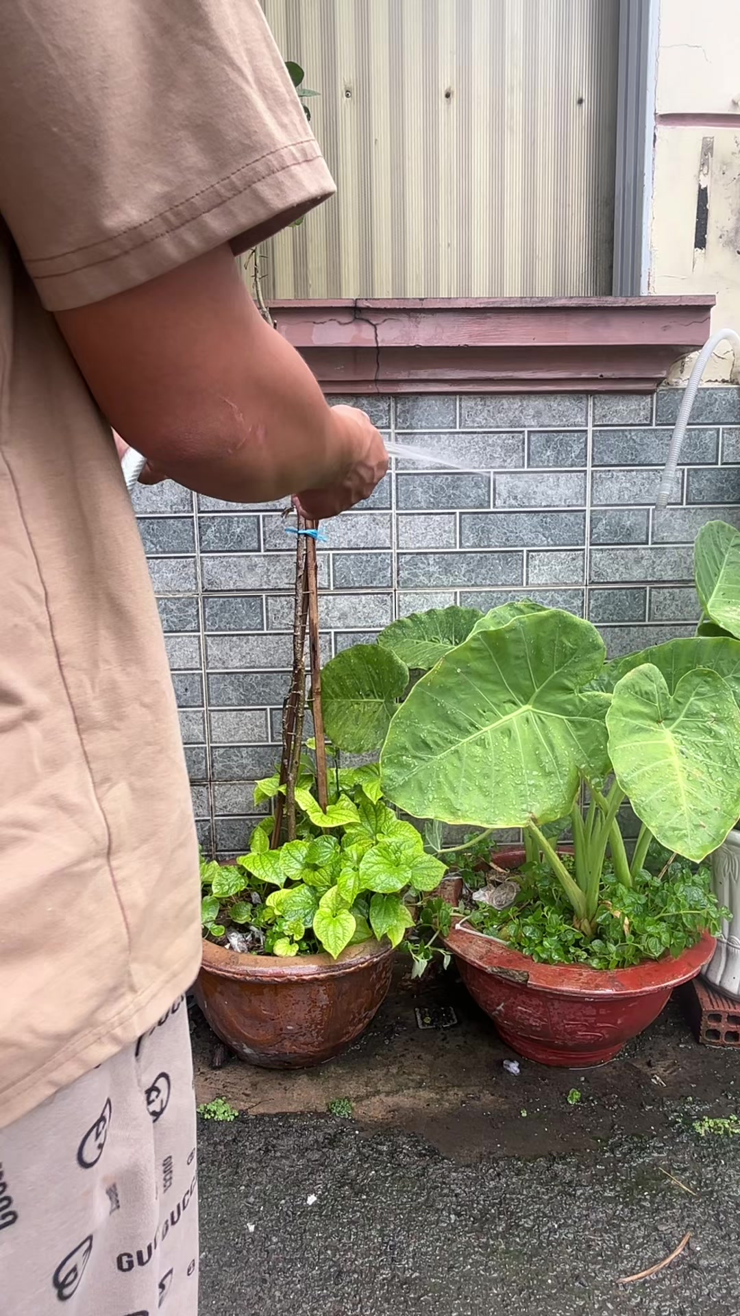 @Thiết Bị Vệ Sinh TH