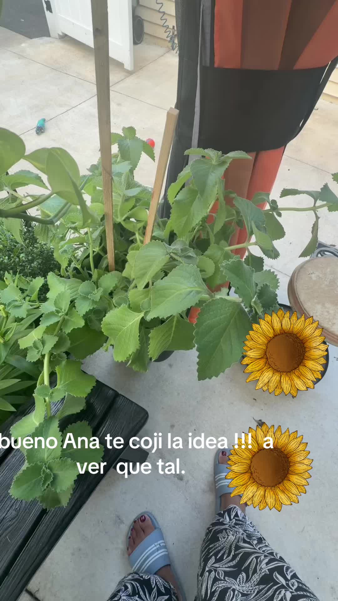 @Margarita Valdez