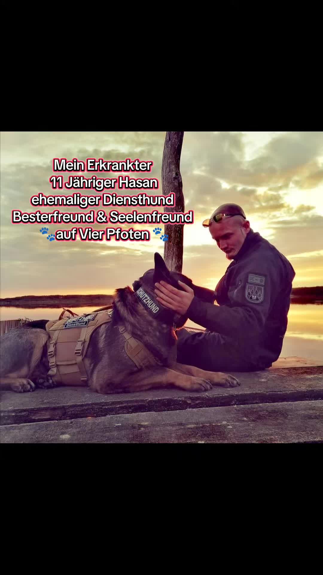 @K9 Palatinus-Unit☑️