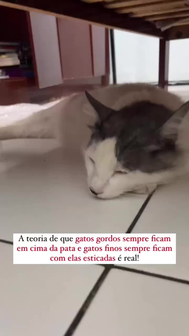@O The Flash Barbosa 😺