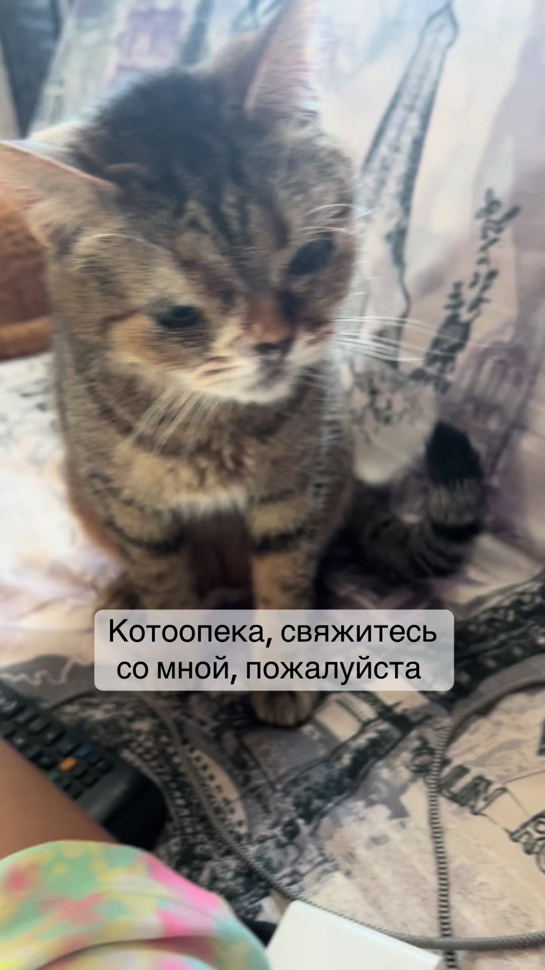 @Оля & Co🐈⬛🐈