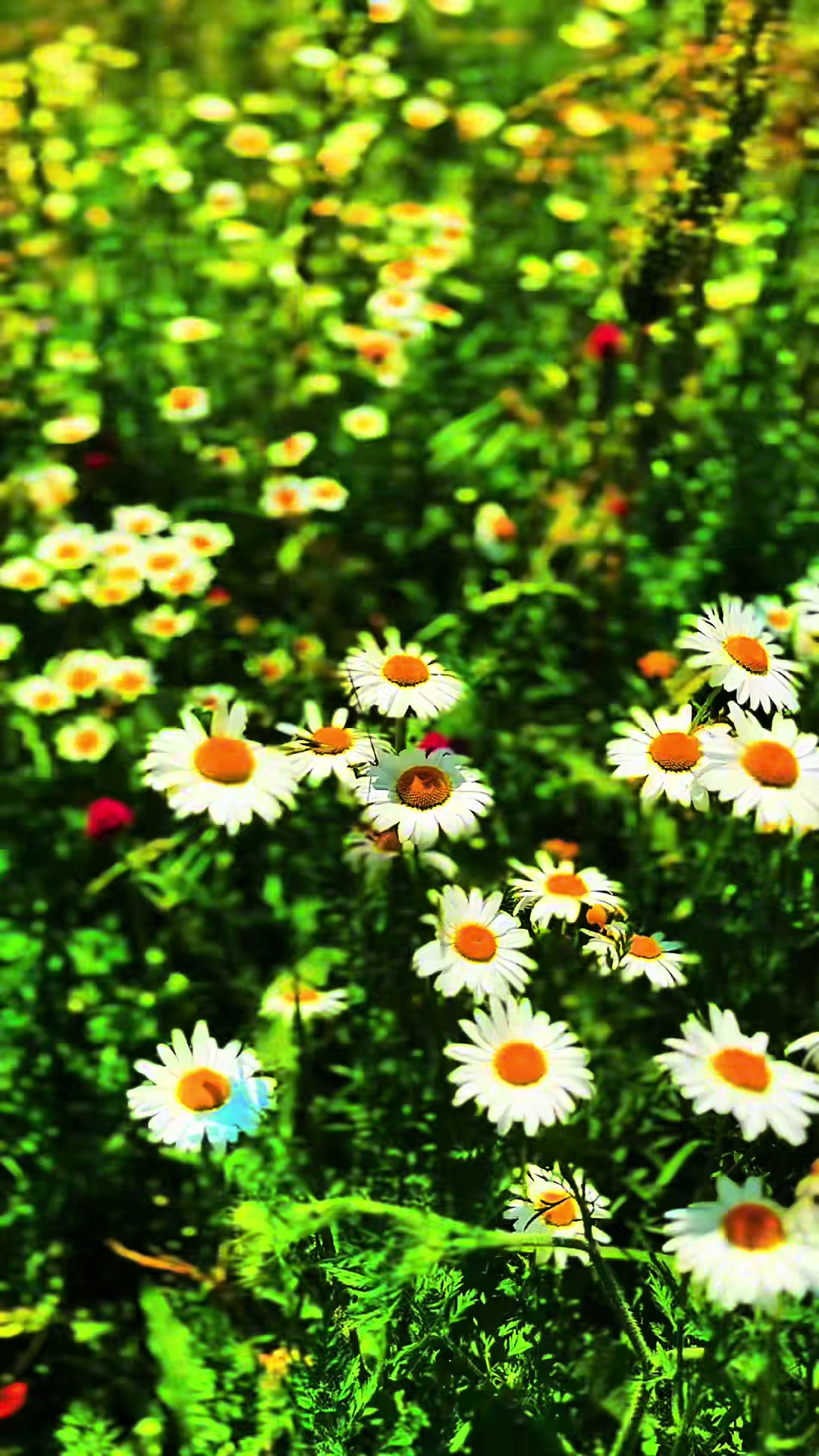 @pavithetraveller