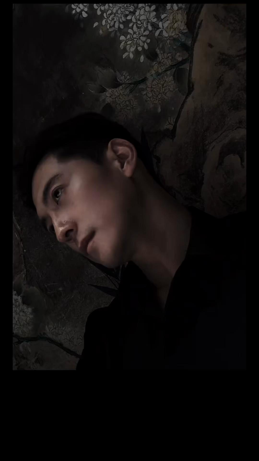 @杨寒/Alfyang小白杨 official