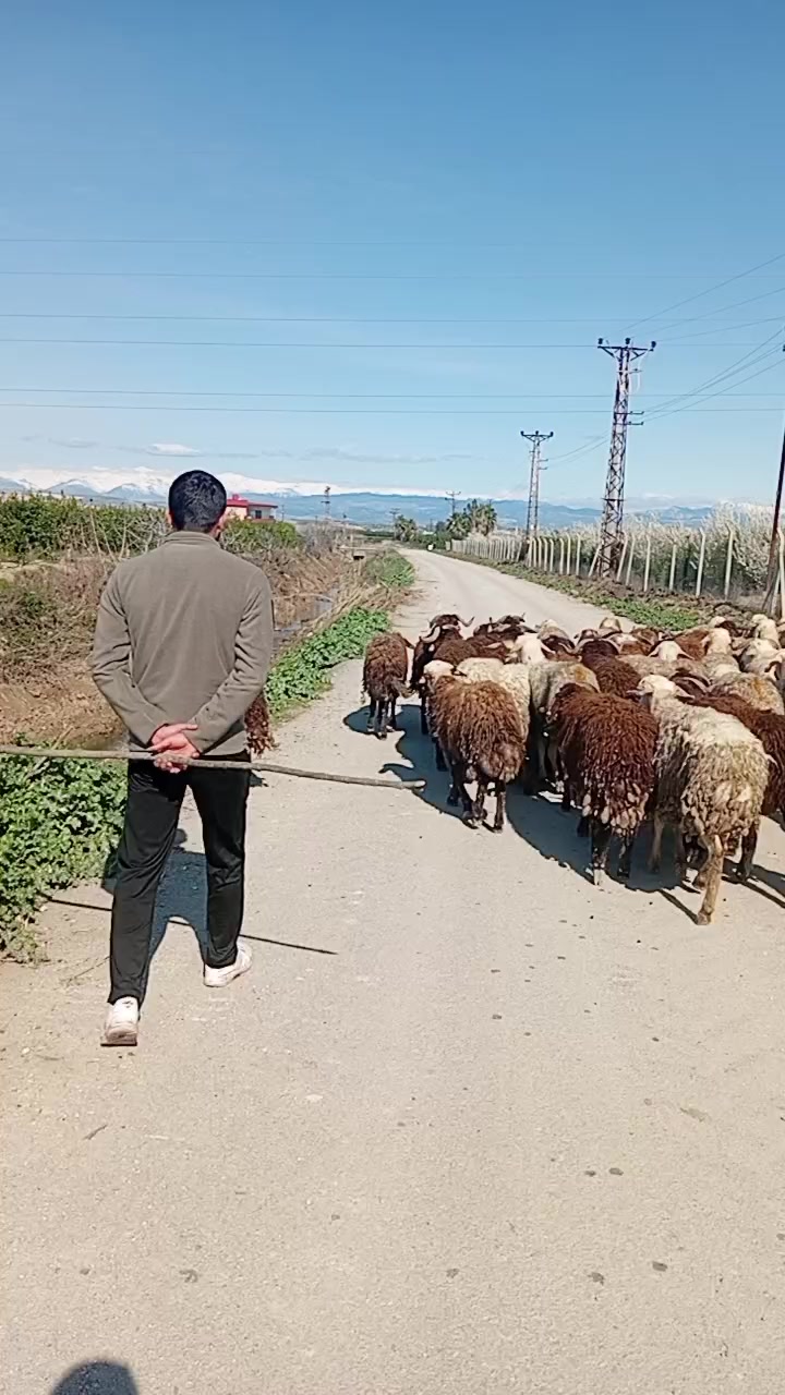 @yusuf göncü