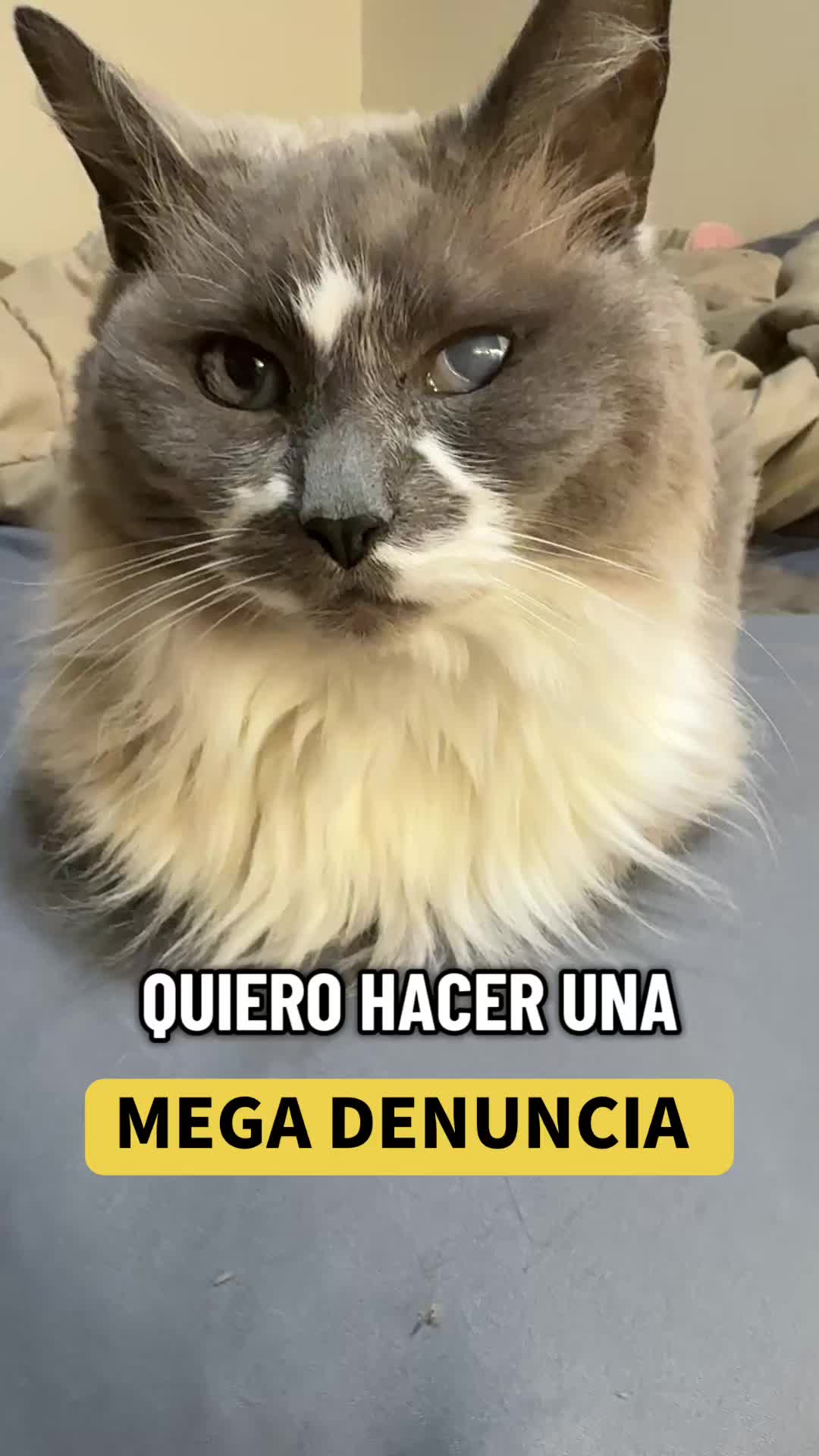 @mili_la_yorki