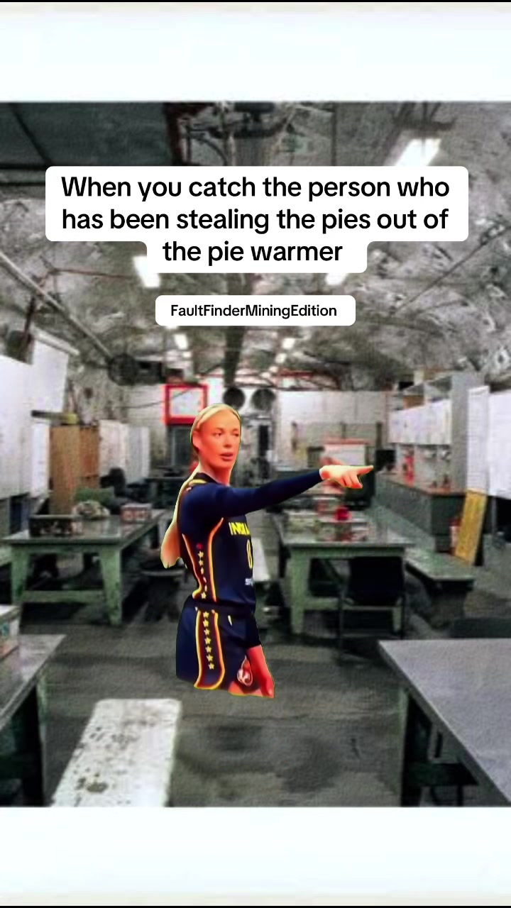 @faultfinder