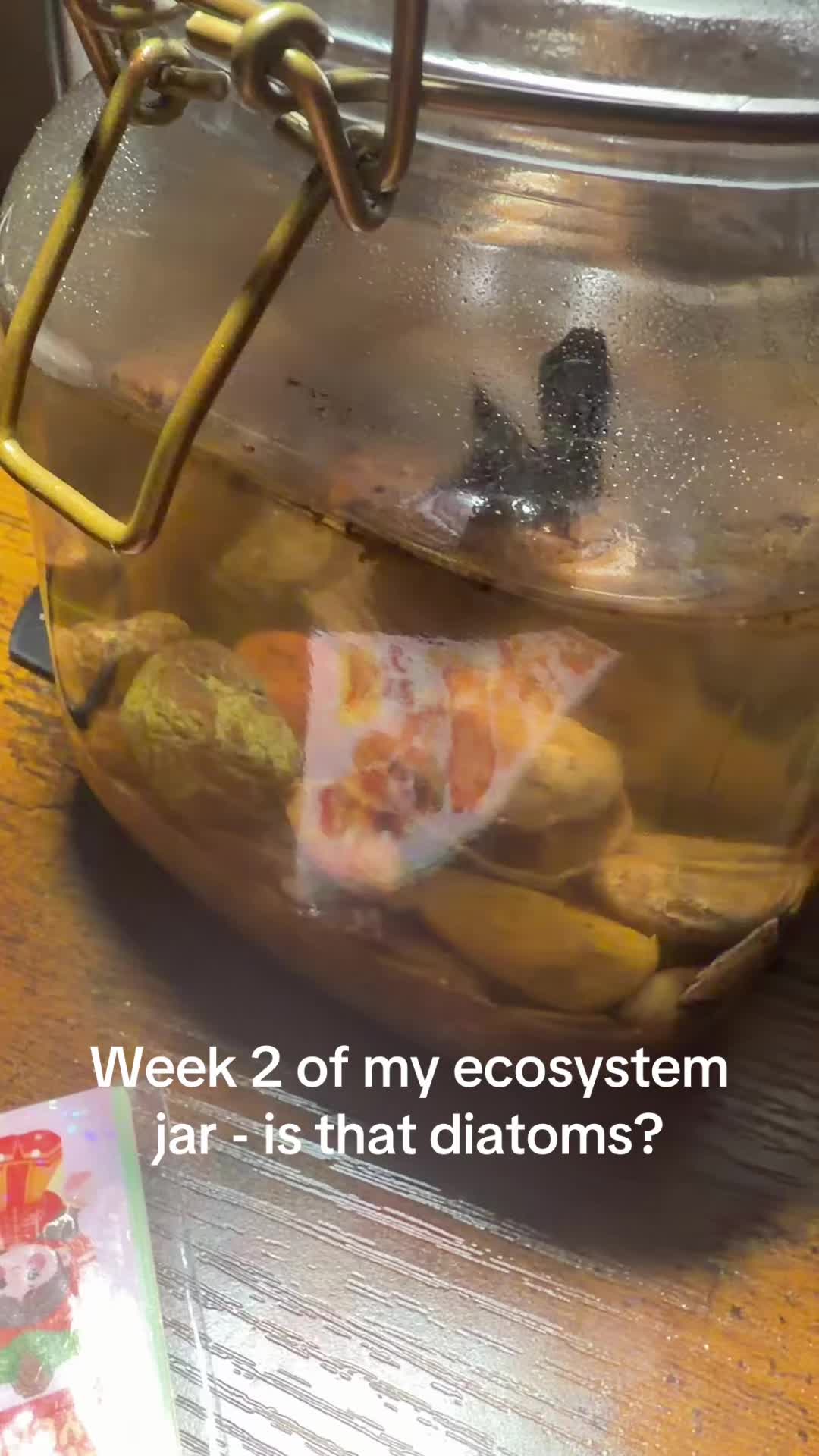 @chairish