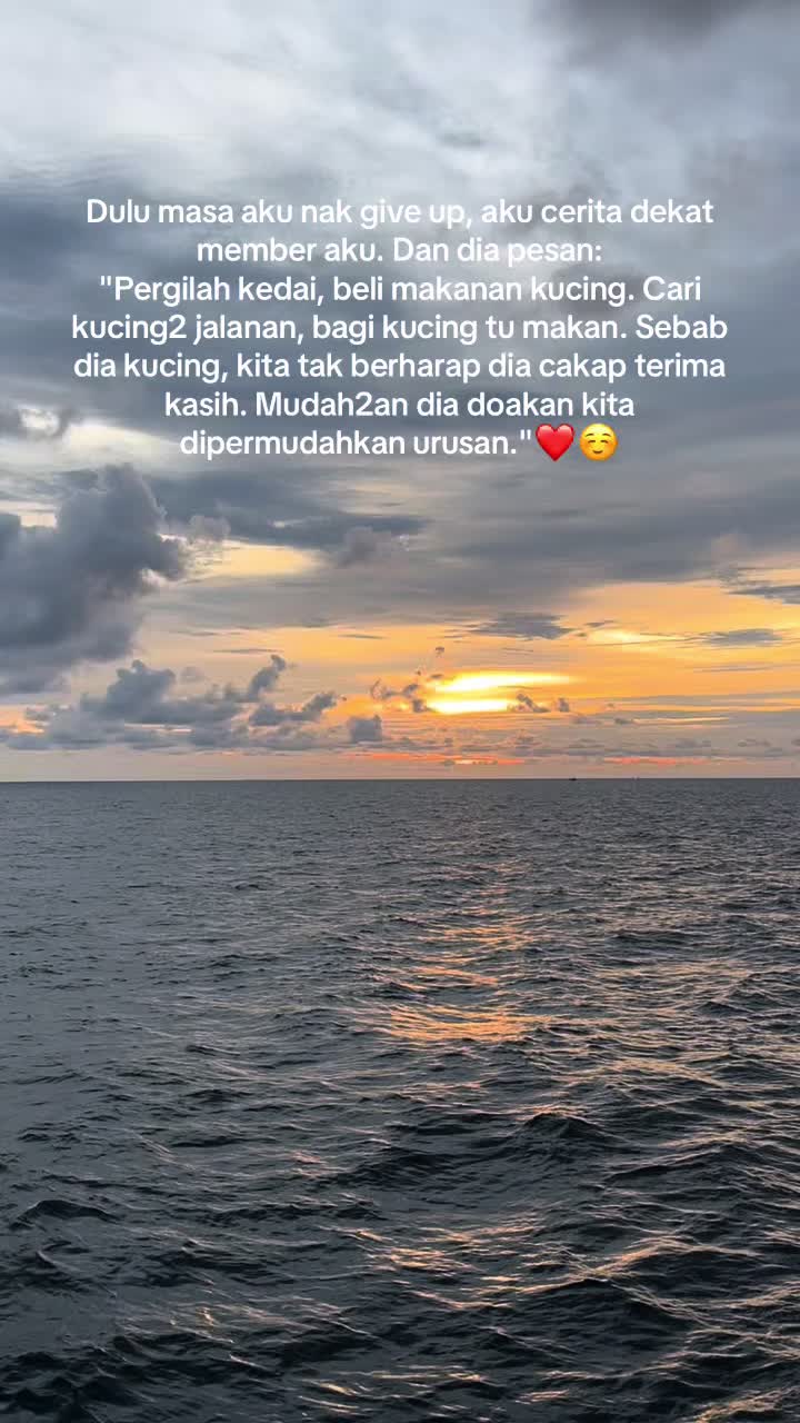 @Mr Riderr🛵