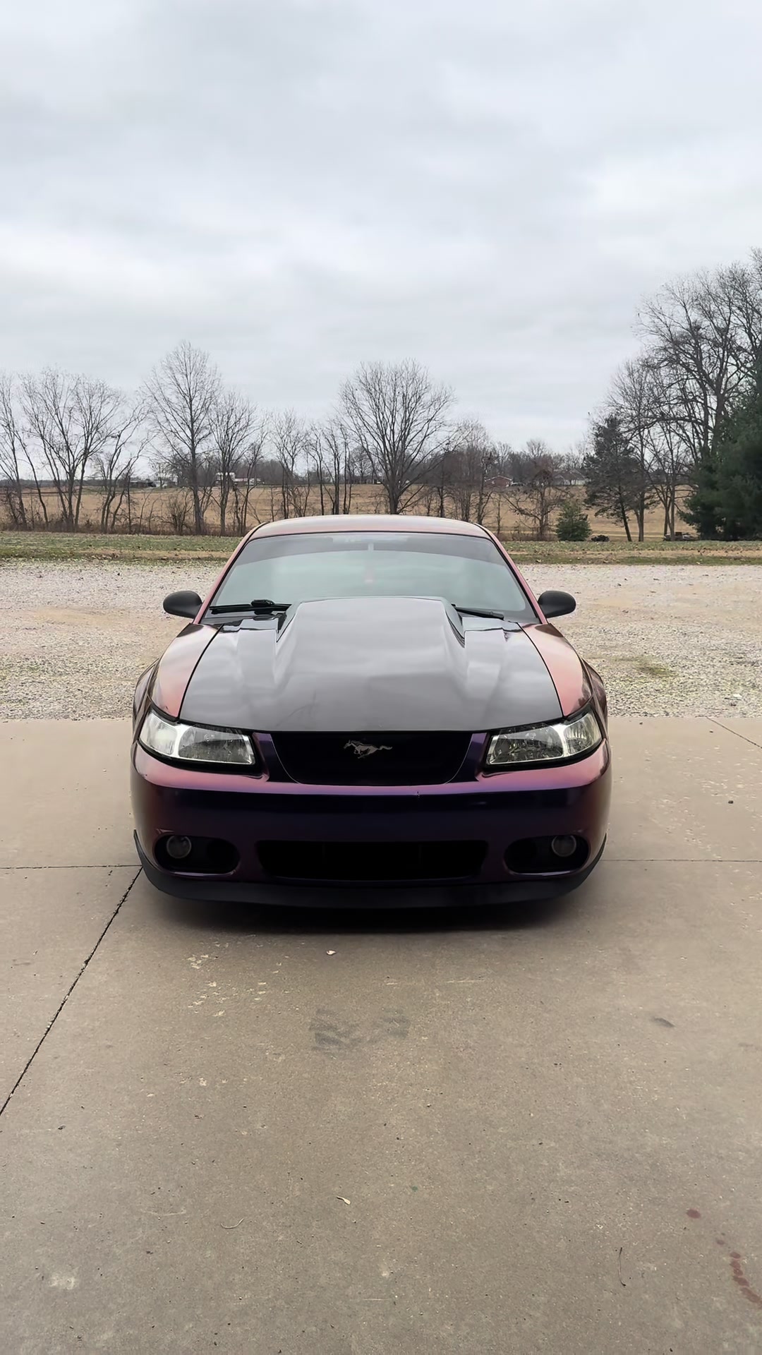 @Midnightpurp2v