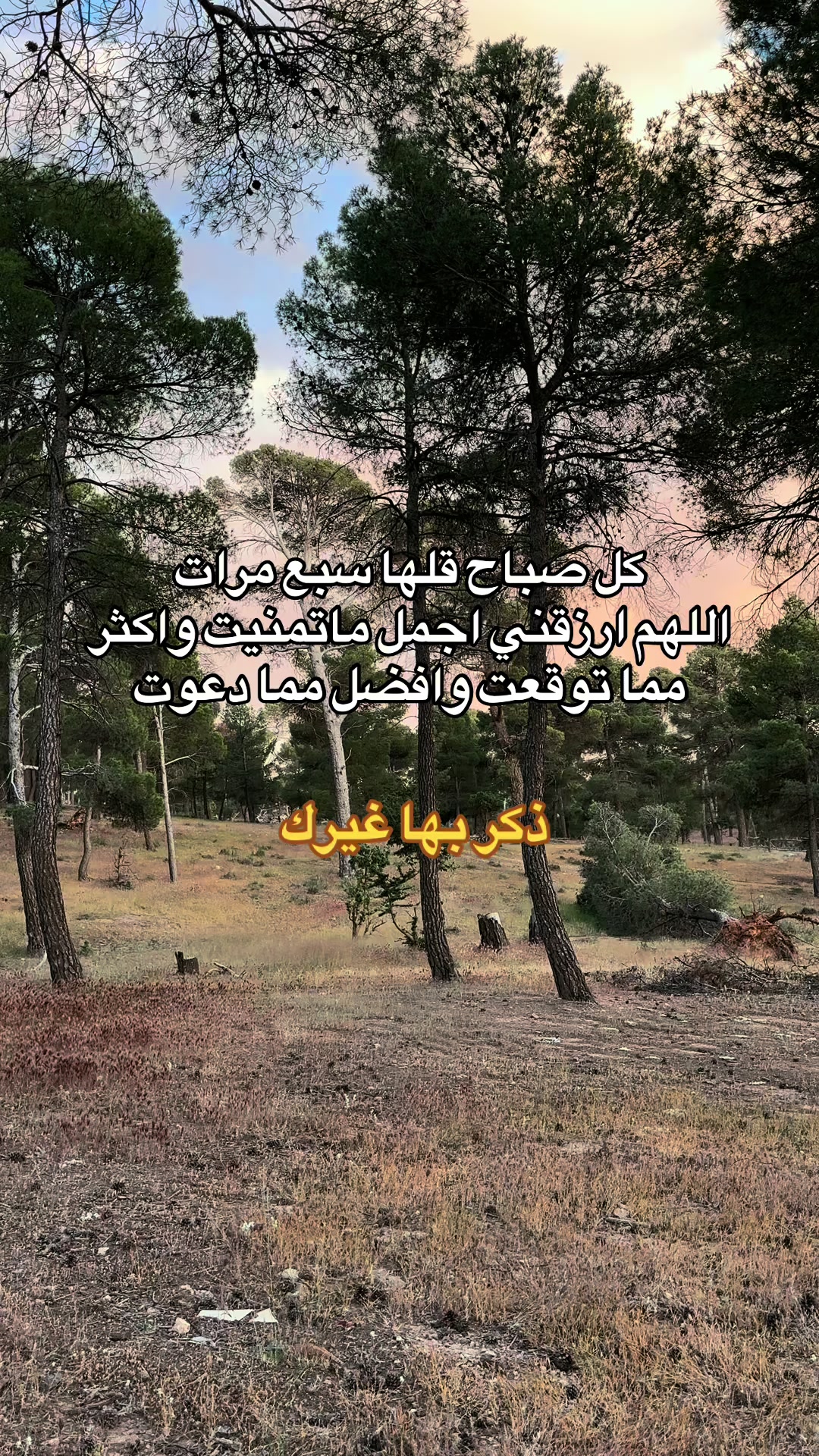 @ky7oll