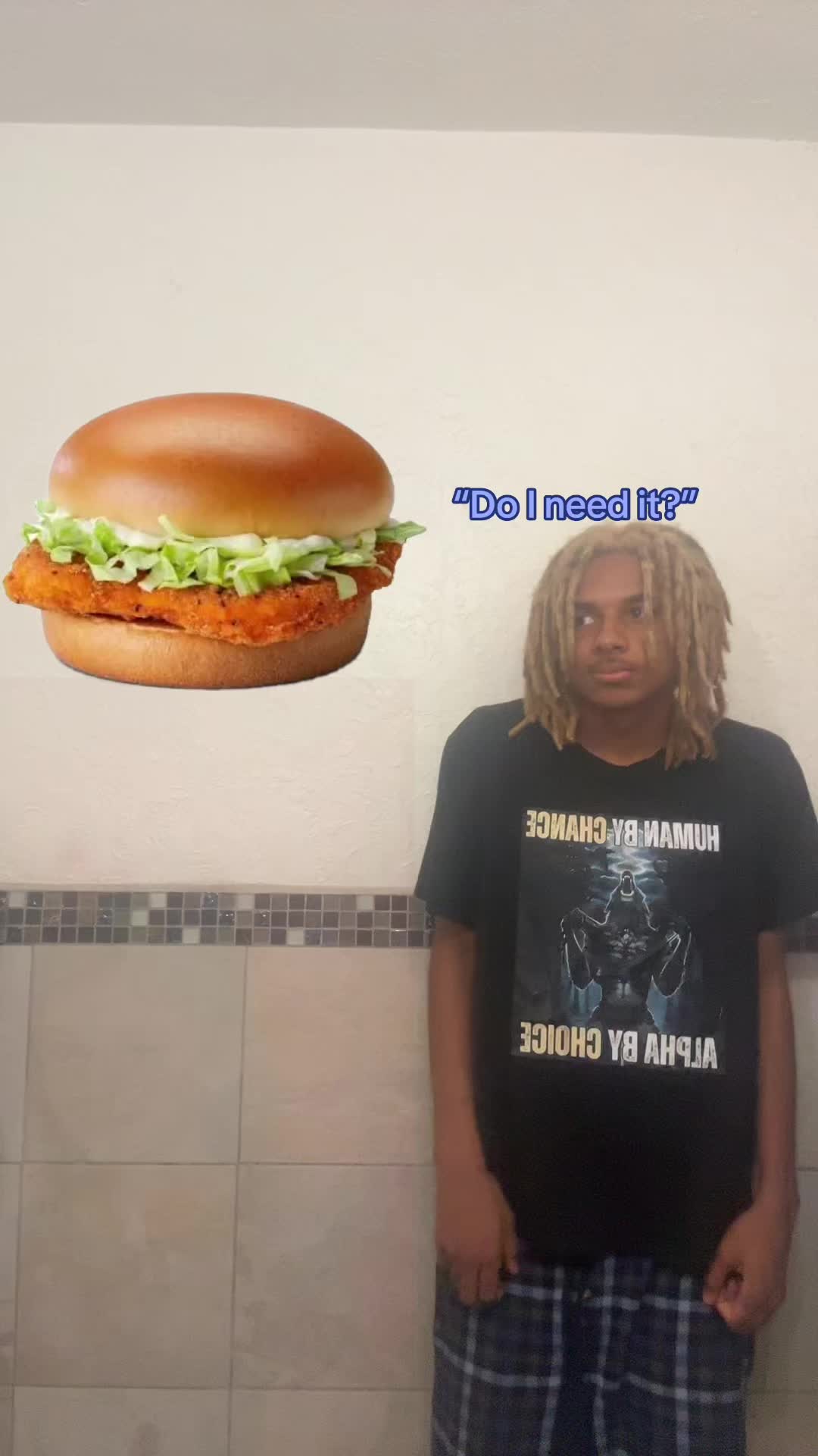 @ohbabyilovemcchickens