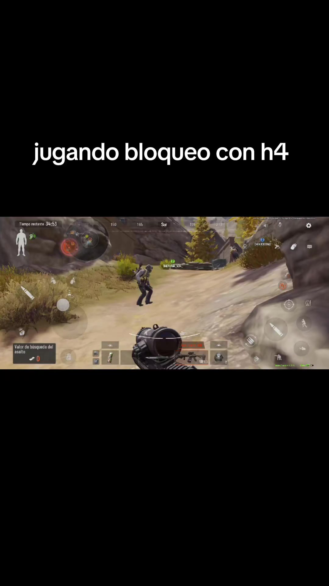 @gato de combate