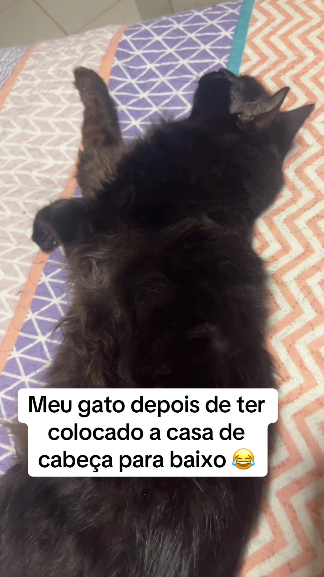 @Mariana Matos ✨