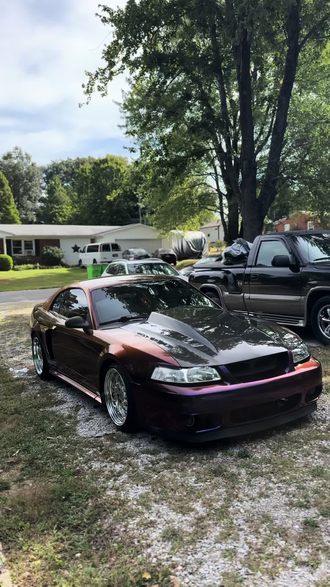 @Midnightpurp2v
