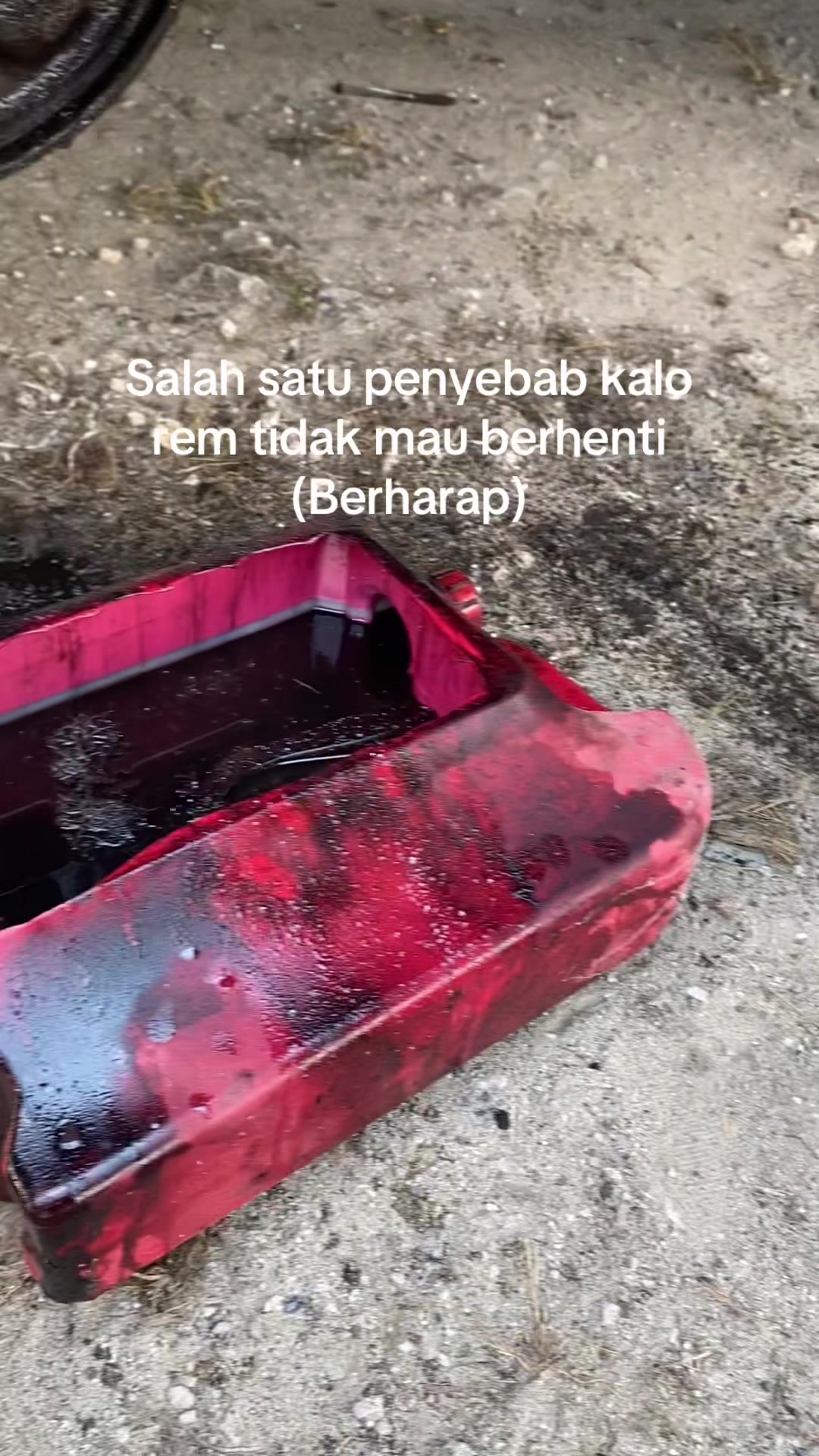 @orang pake