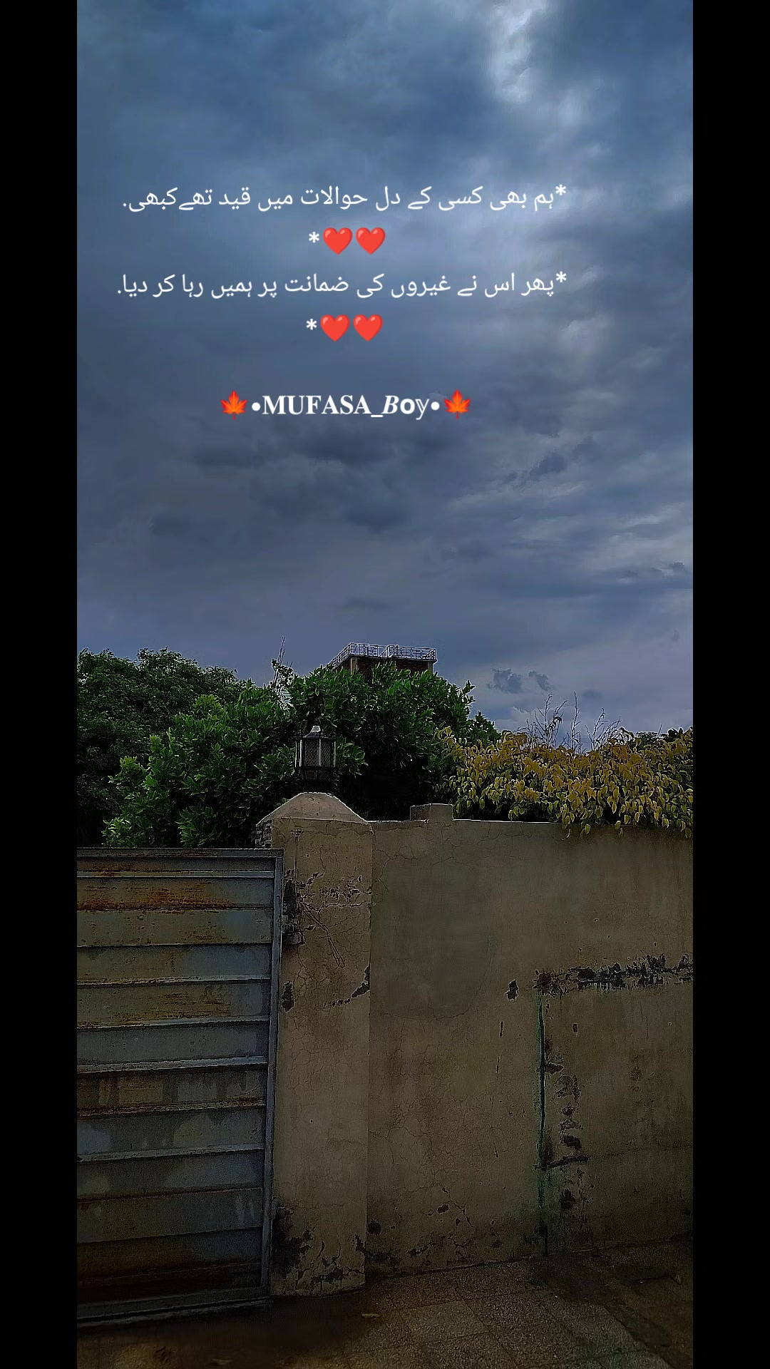 @𓆩ッ𝐃𝐄𝐕𝐄𝐋࿐