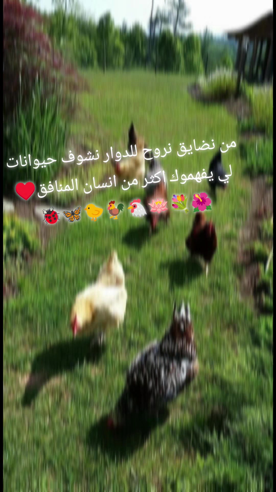@๐ฅ๐ซฆ๐๐Fati 29๐๐๐๐ฅ