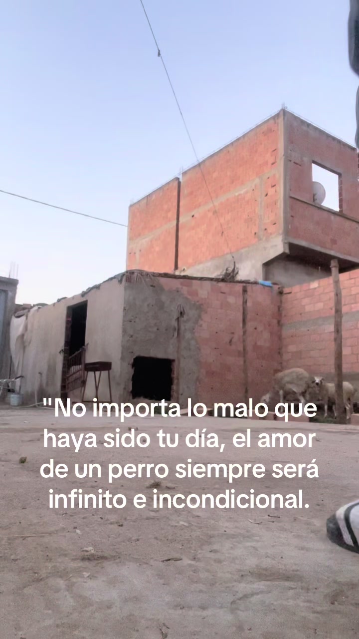 @vive y deja vivir