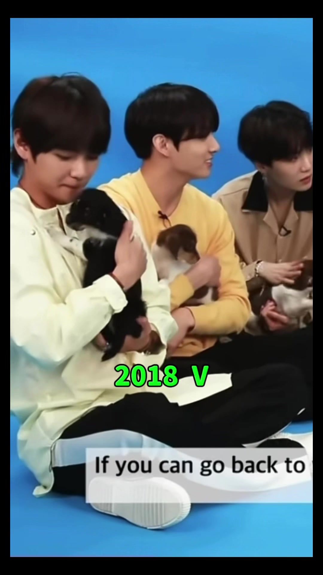 @95🐥🐯&97🐰army