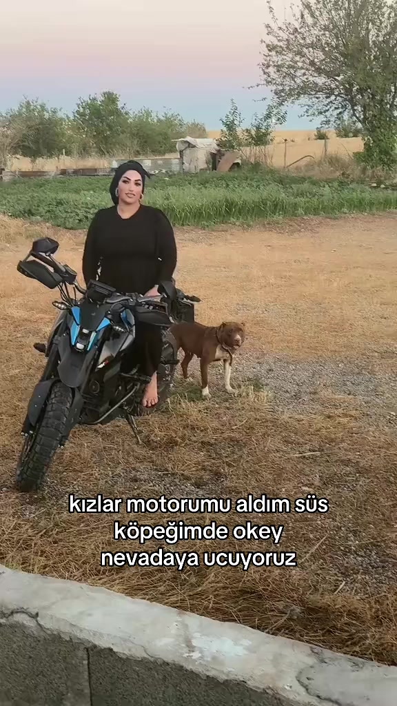 @divatplulugu