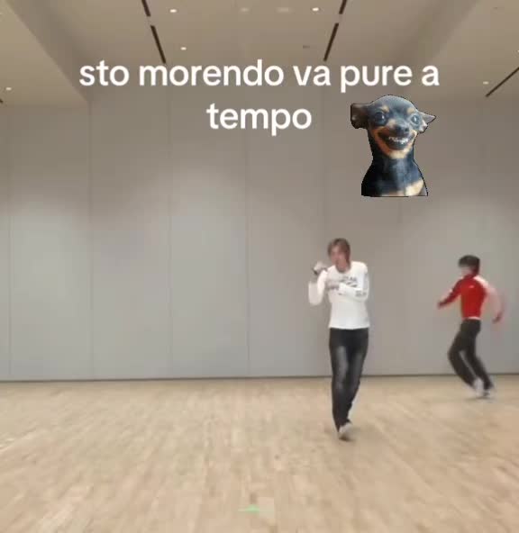 @SandroG.73