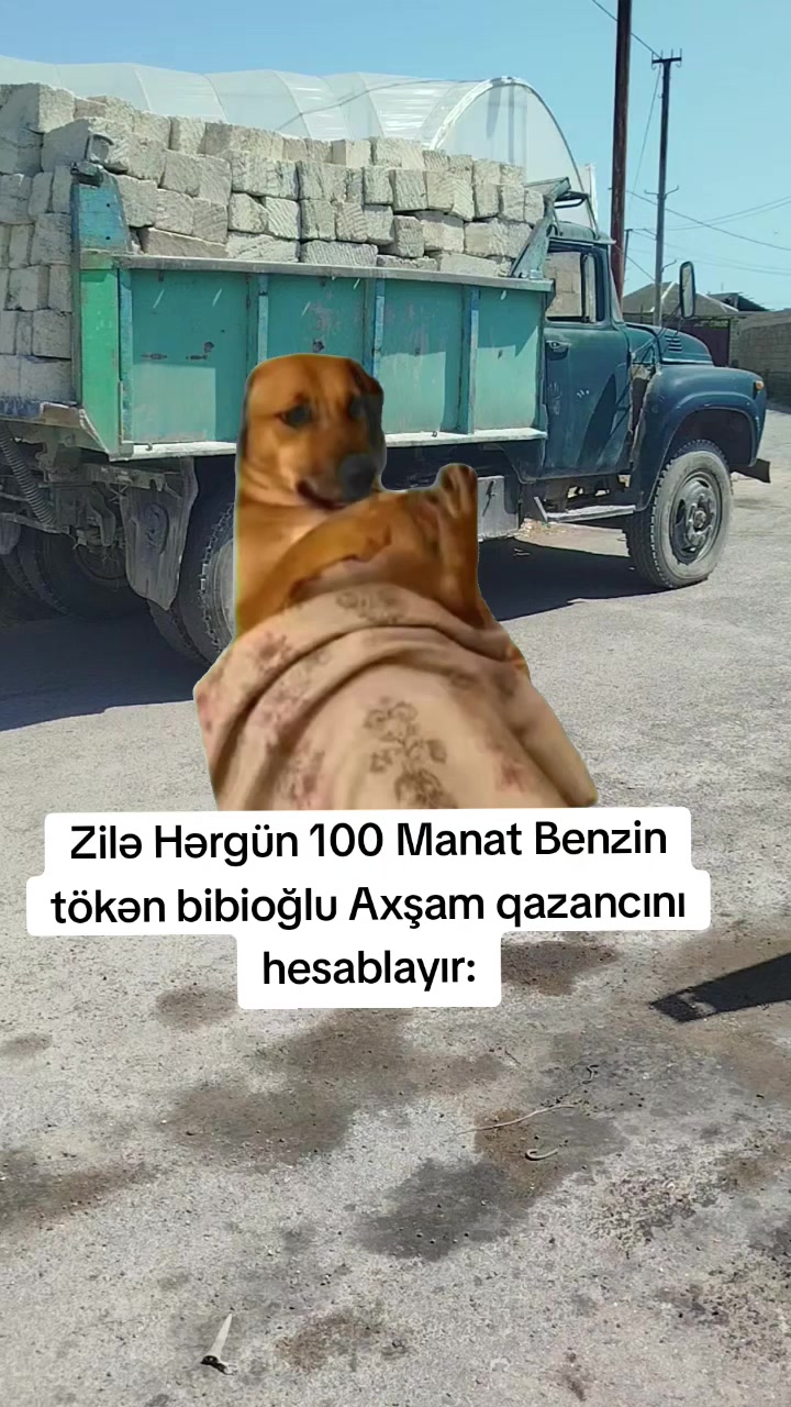 @Amin Babayev