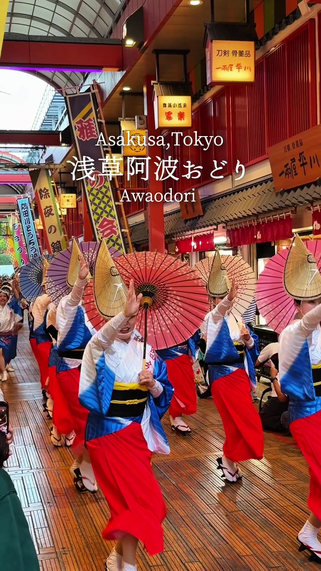 @のらよ🏮Norayo