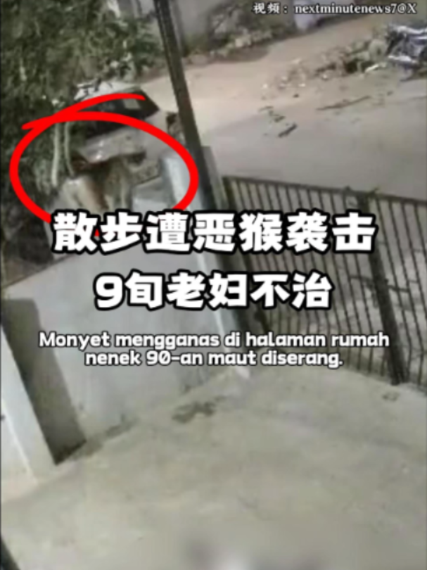 @中国报