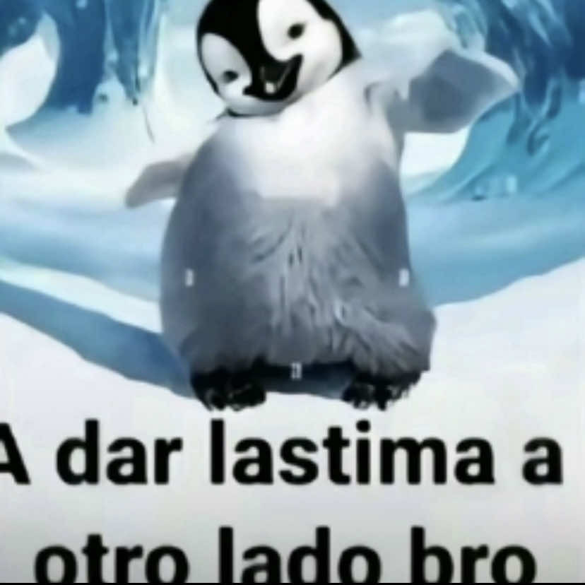 @Ly