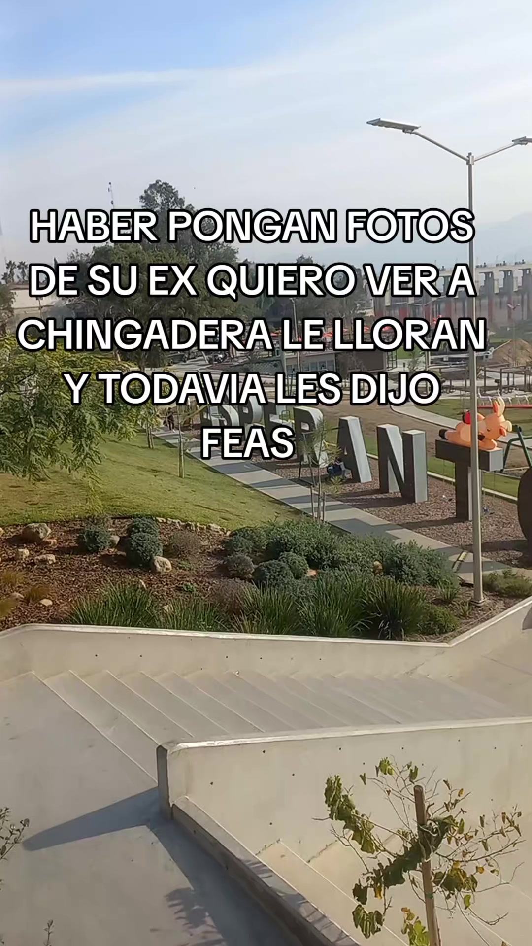 @mary