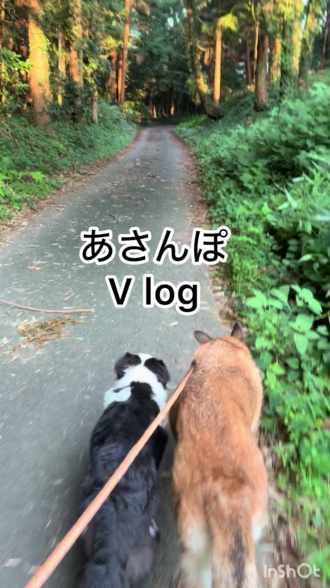 @ミウラ&bull;リョーコ(イーツカ&bull;リョーコ)