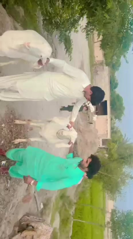 @Tariq 1143