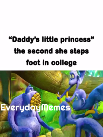 @EverydayMemes