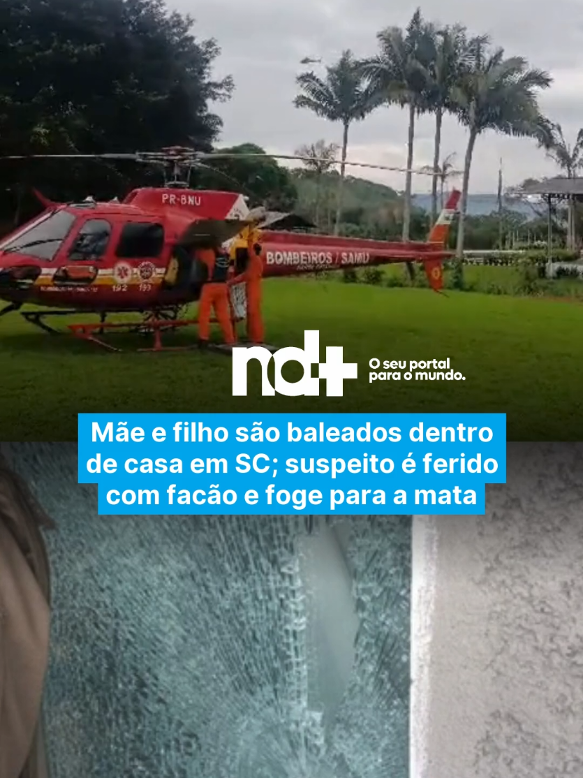 @portalndmais