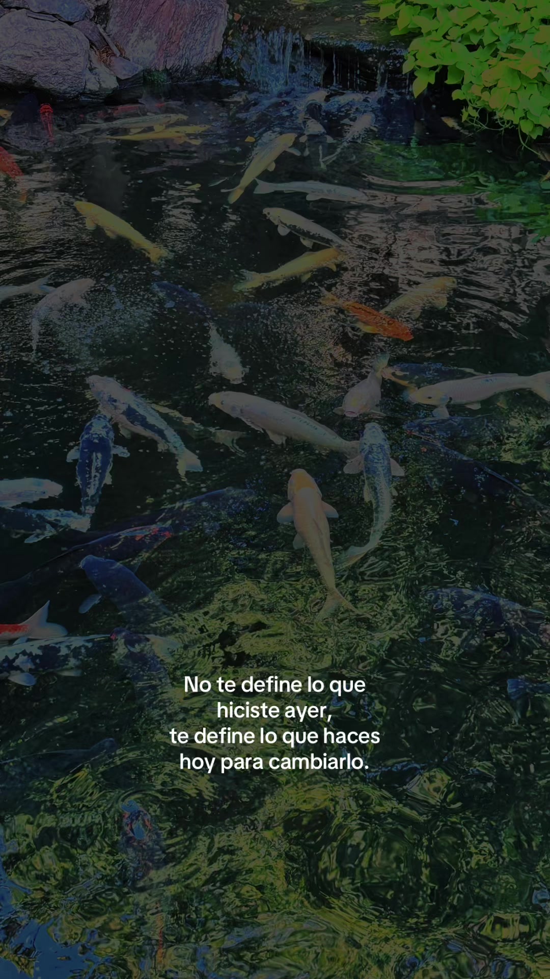 @★𝐍𝐃𝐘