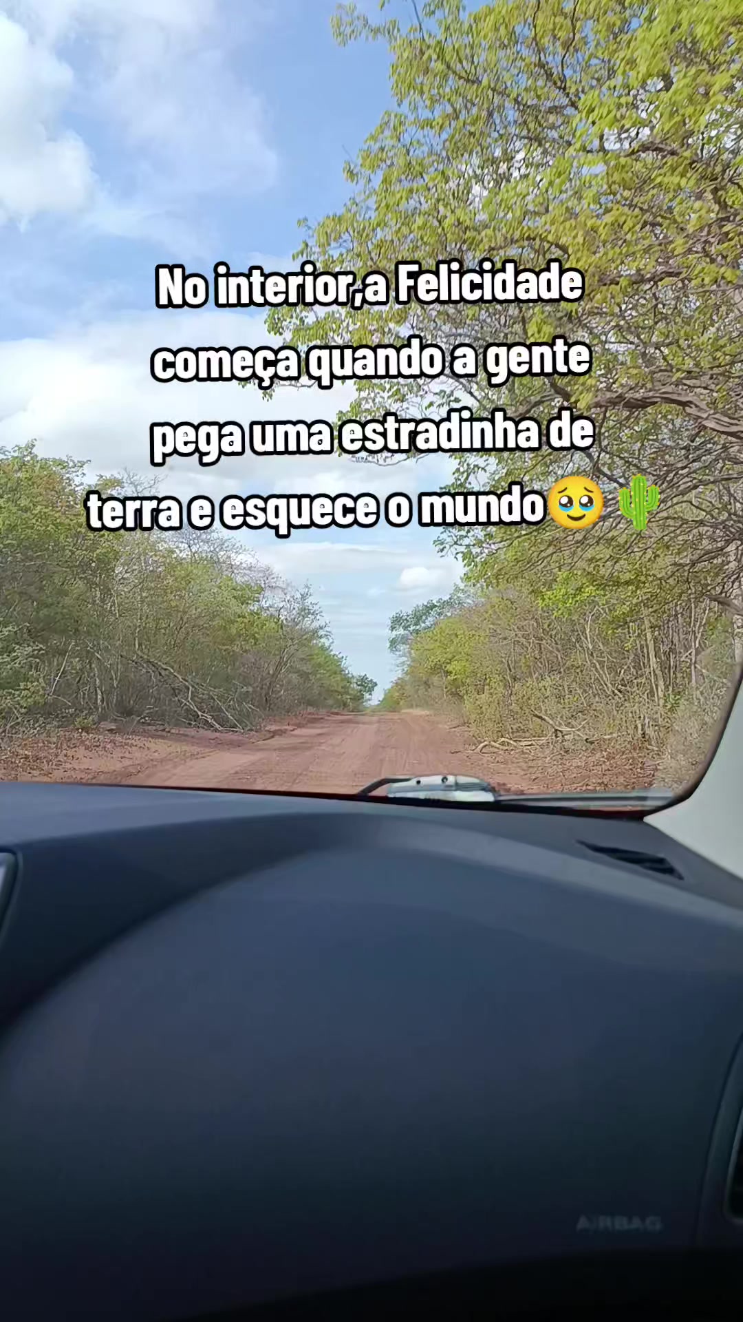 @Ceiça Morais Sep💚