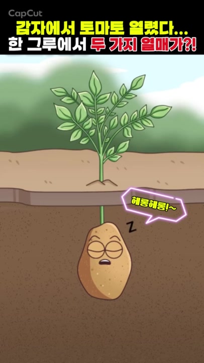 @유영옥.멍게하모니카