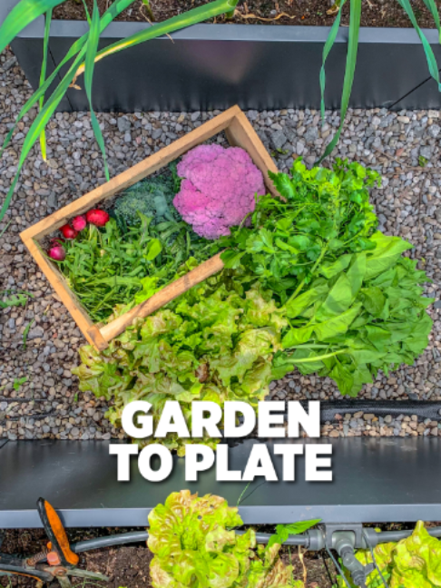 @Planted in the Garden