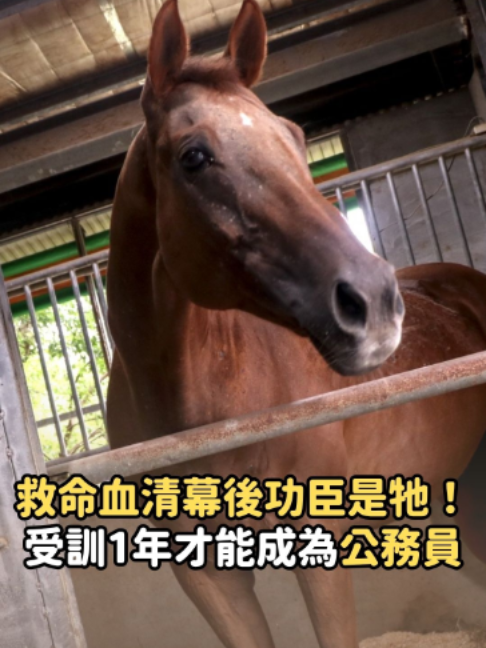 @知新聞