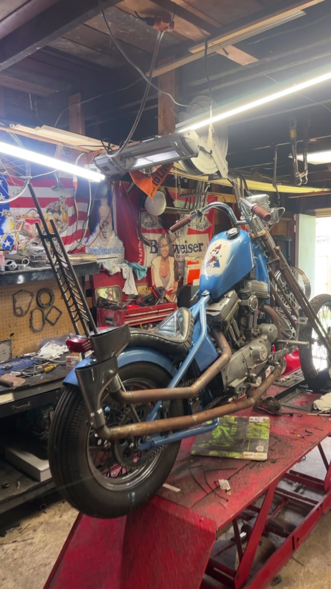 @Boneyard Gnat