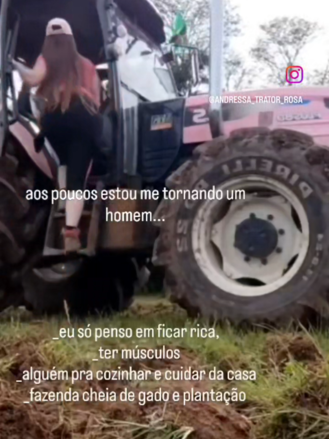@Andressa Rodrigues
