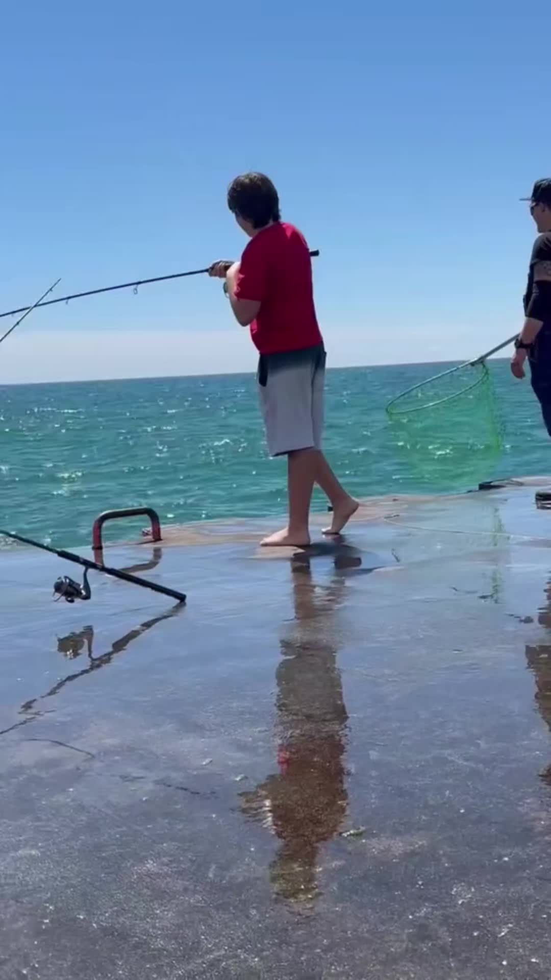 @Kyle
