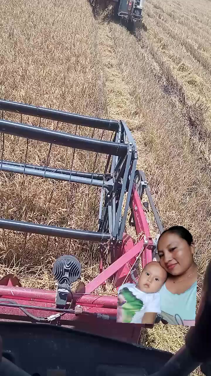 @amigorrito
