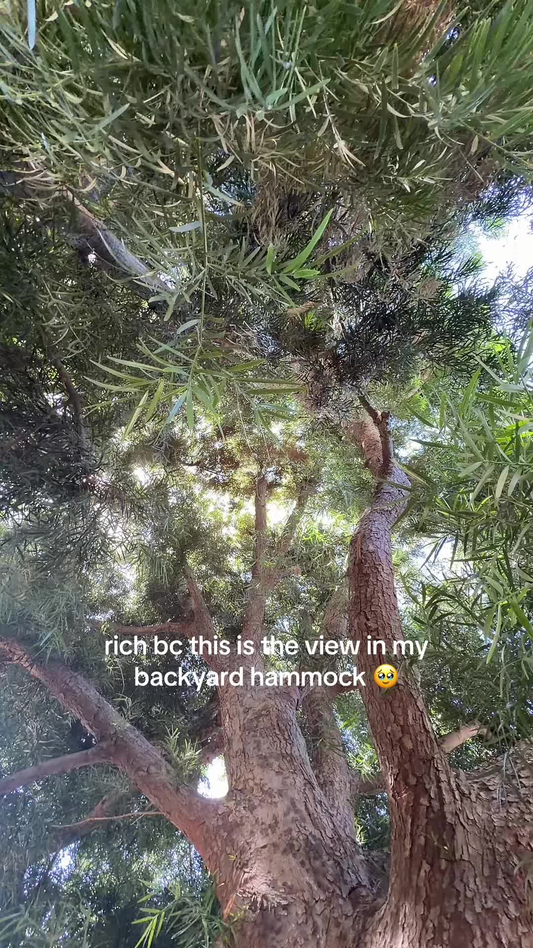 @harleymelts
