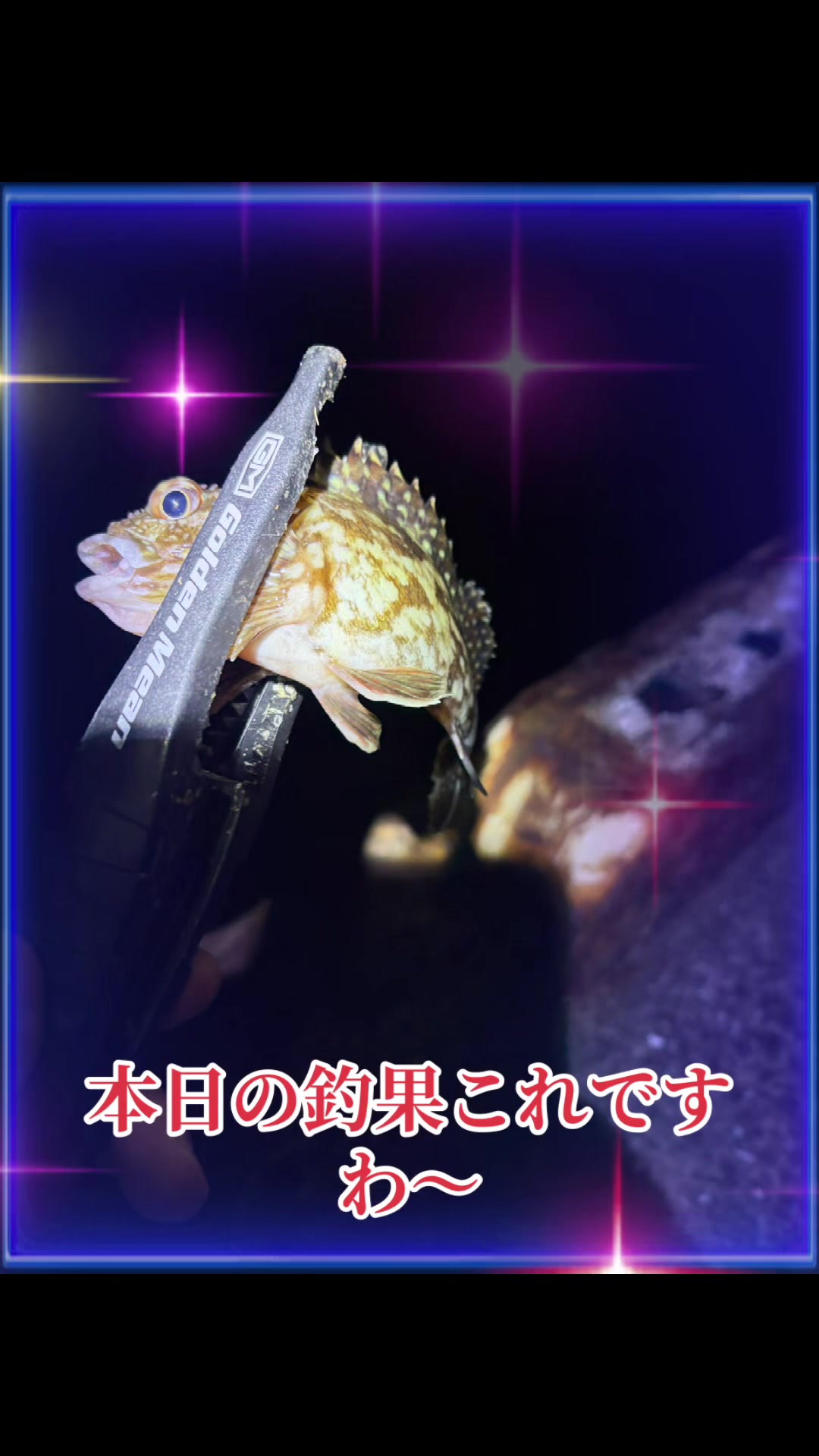 @࿗༺ 𝓚𝓪𝓽𝓾𝔂𝓪 ༻࿘