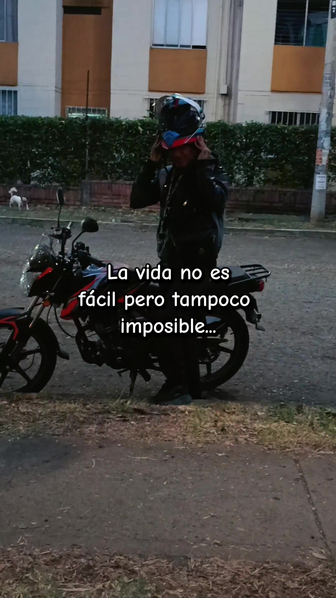@Leonardo fabio revelo