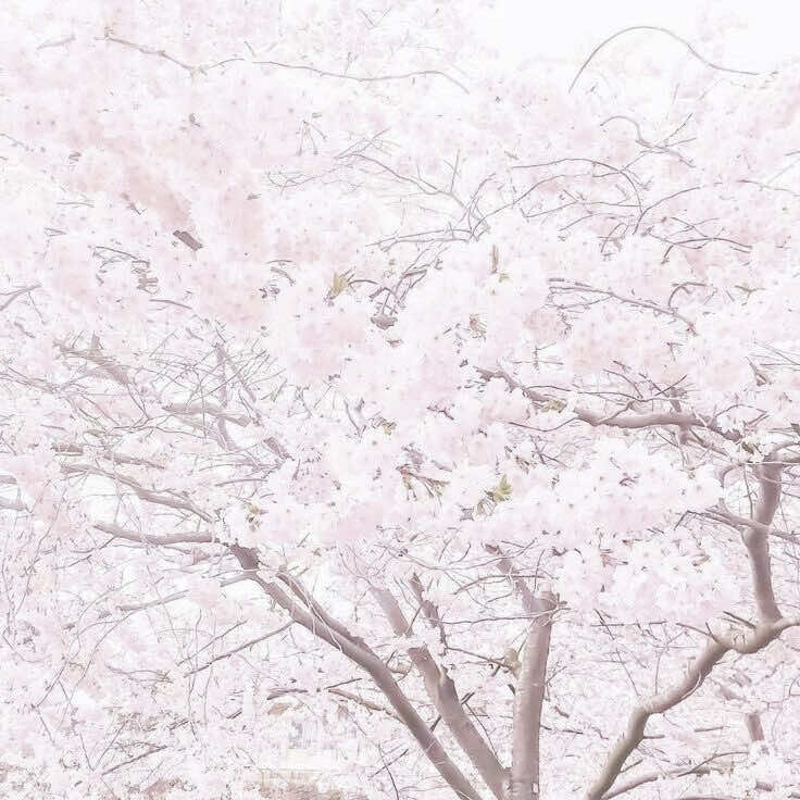 @미카