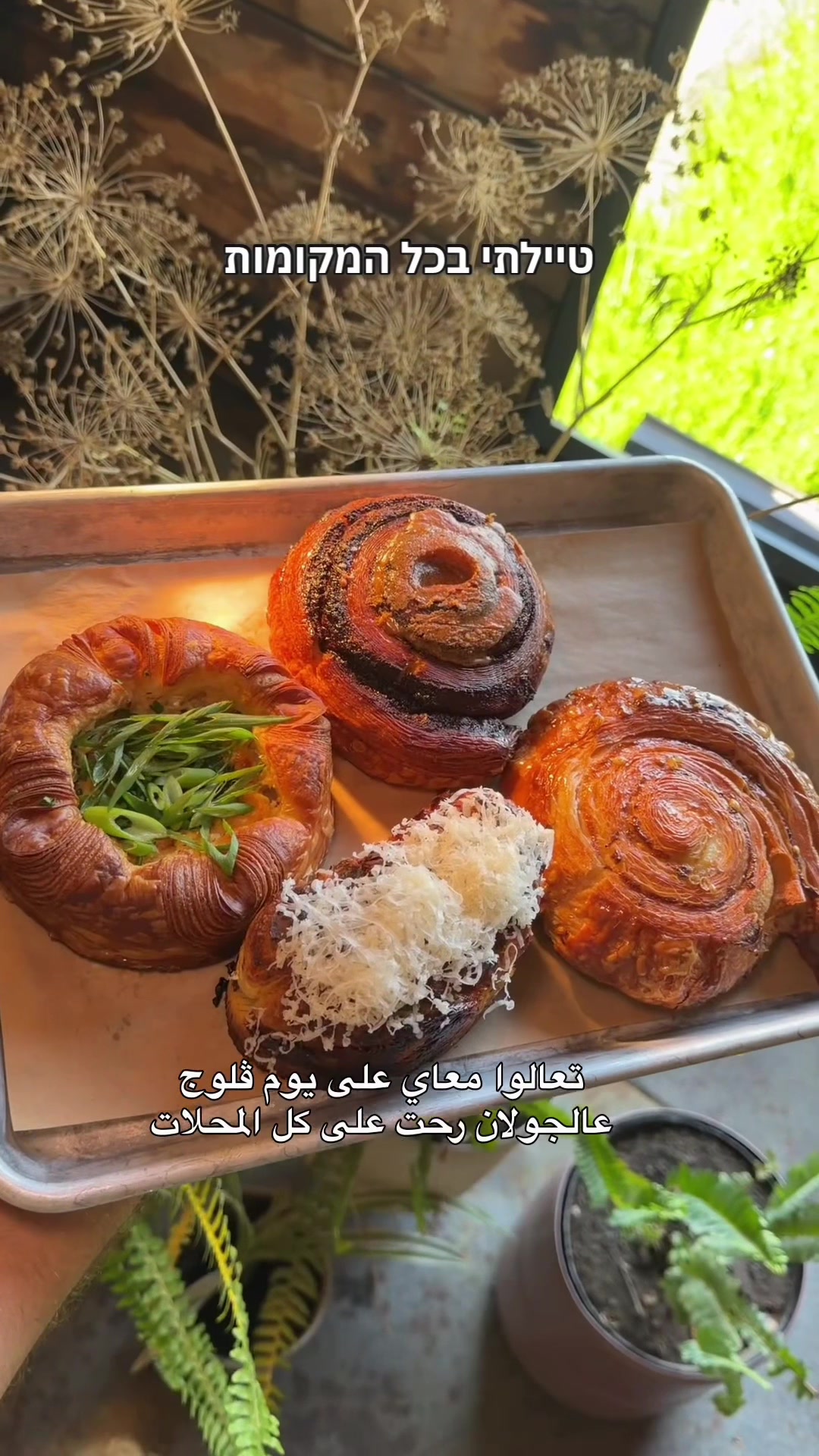@Razi_Travel