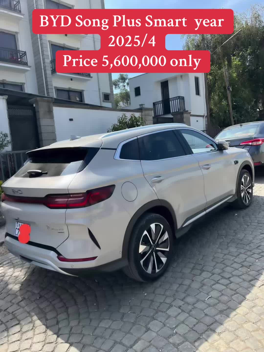 @Loyal Car